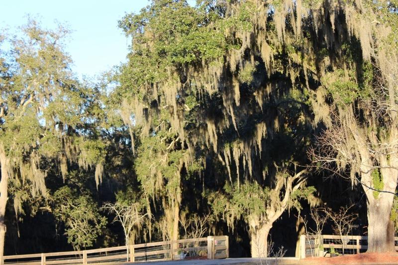 Rock Pointe Ranch Bed & Breakfast Floral City Bagian luar foto