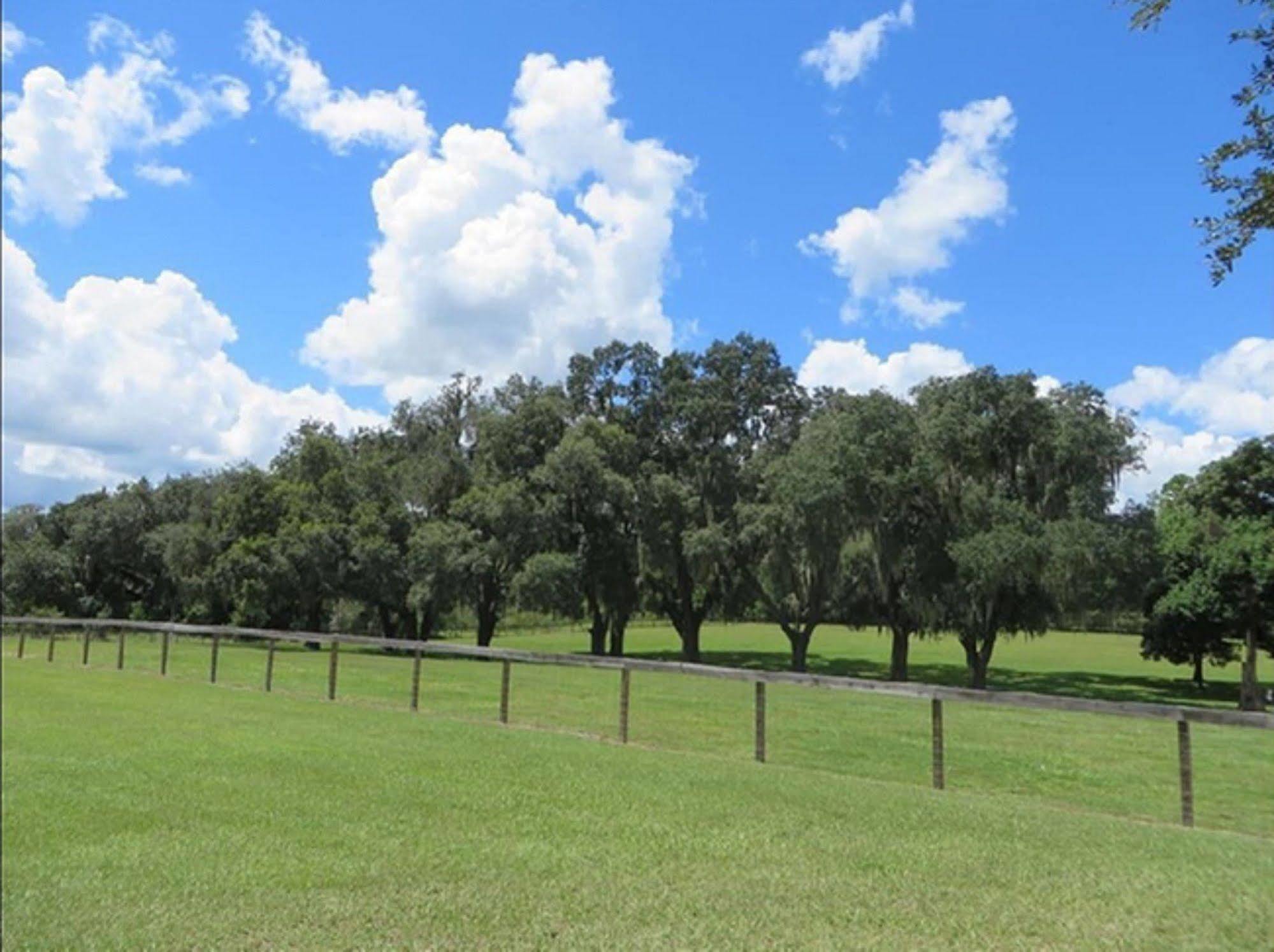 Rock Pointe Ranch Bed & Breakfast Floral City Bagian luar foto